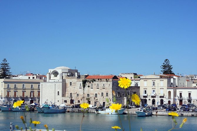 Walking tour Trani - The medieval streets and sea-air pauses you’ll notice