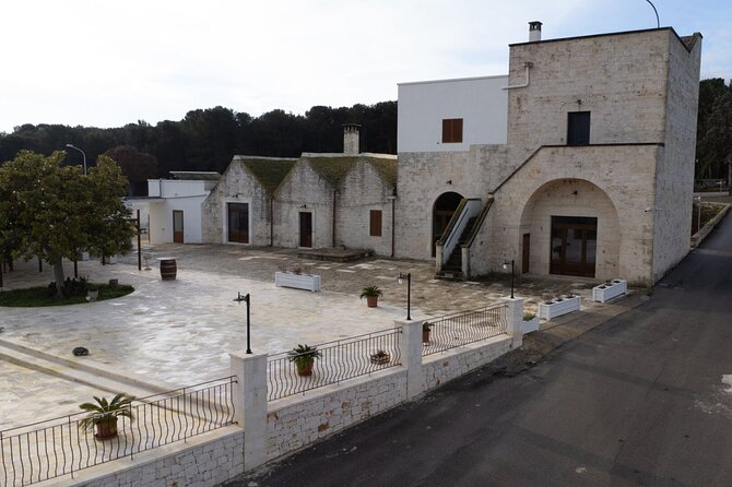 Wine and Food Pairing Experience at Alberobello Winery - Key things you’ll notice right away