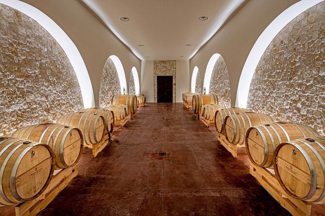 Wine and Food Pairing Experience at Alberobello Winery - Group size and seating: what it feels like in real life
